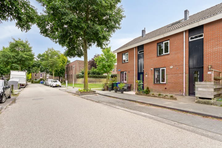 Foto 2 van Pijlkruid 24