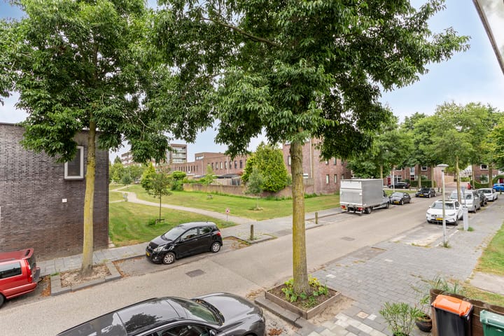 Foto 24 van Pijlkruid 24