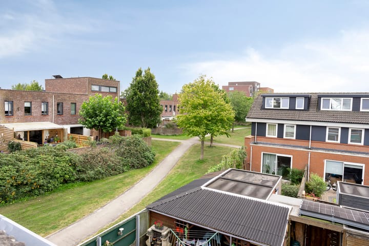 Foto 29 van Pijlkruid 24