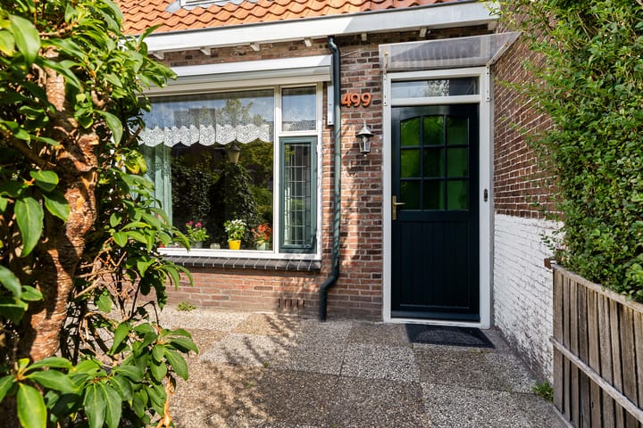 Foto 2 van Noordvliet 499