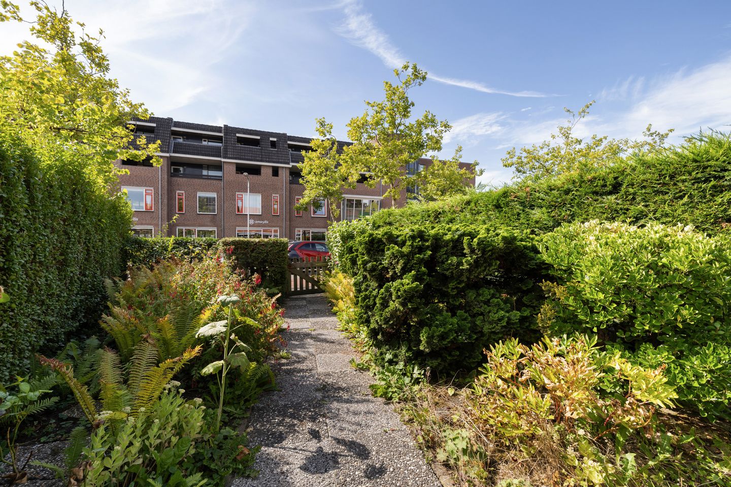 Foto 34 van Noordvliet 499