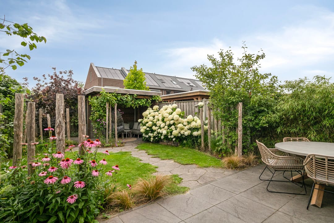 Foto 17 van Knotwilg 22