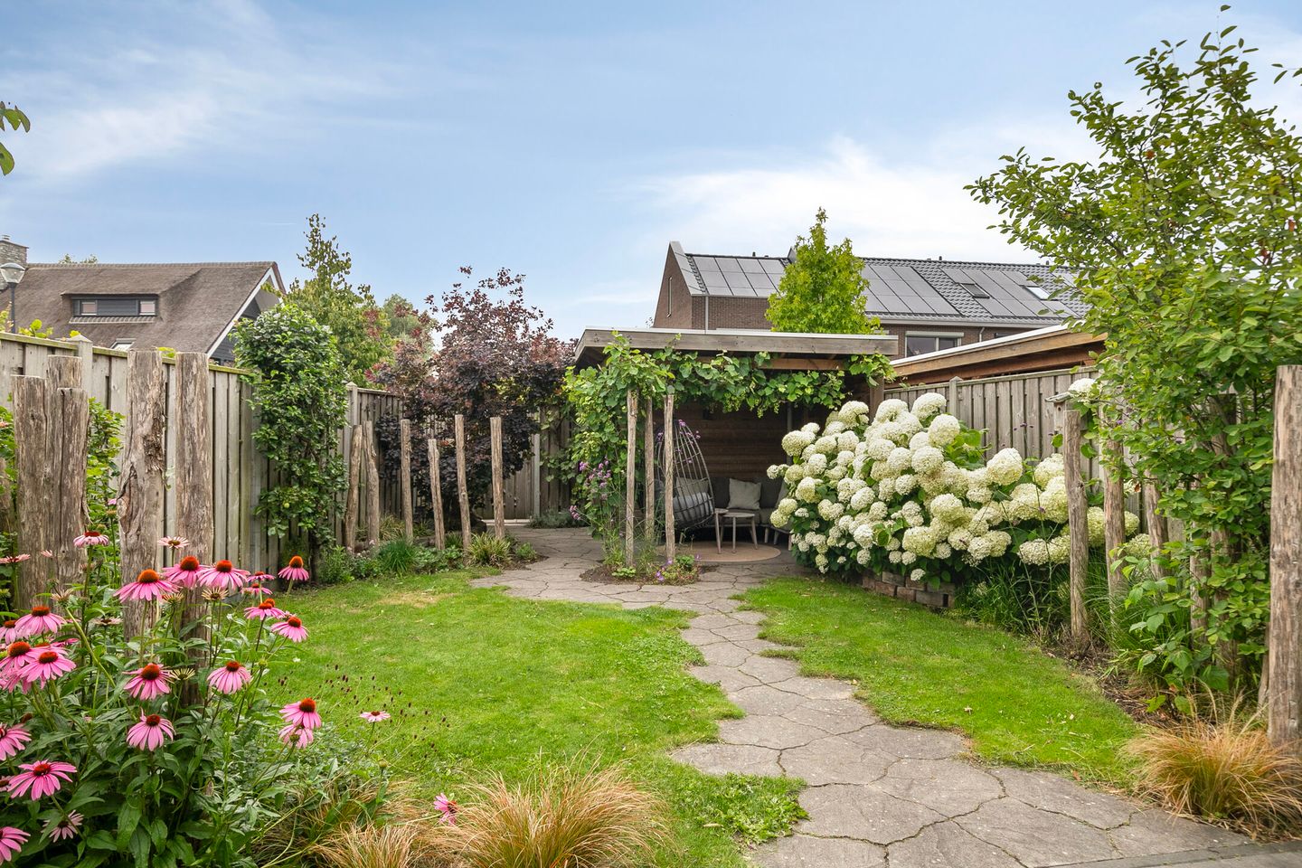 Foto 19 van Knotwilg 22