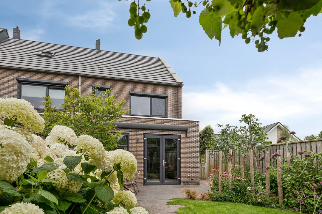 Foto 23 van Knotwilg 22