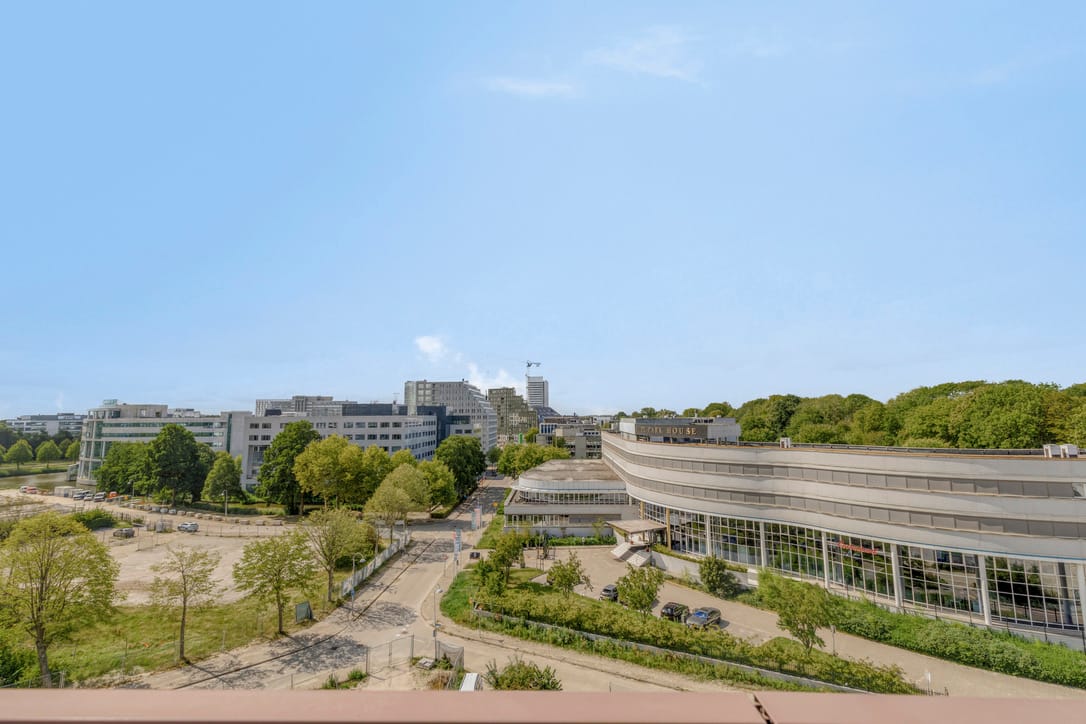 Foto 12 van Mies van der Rohestraat 105