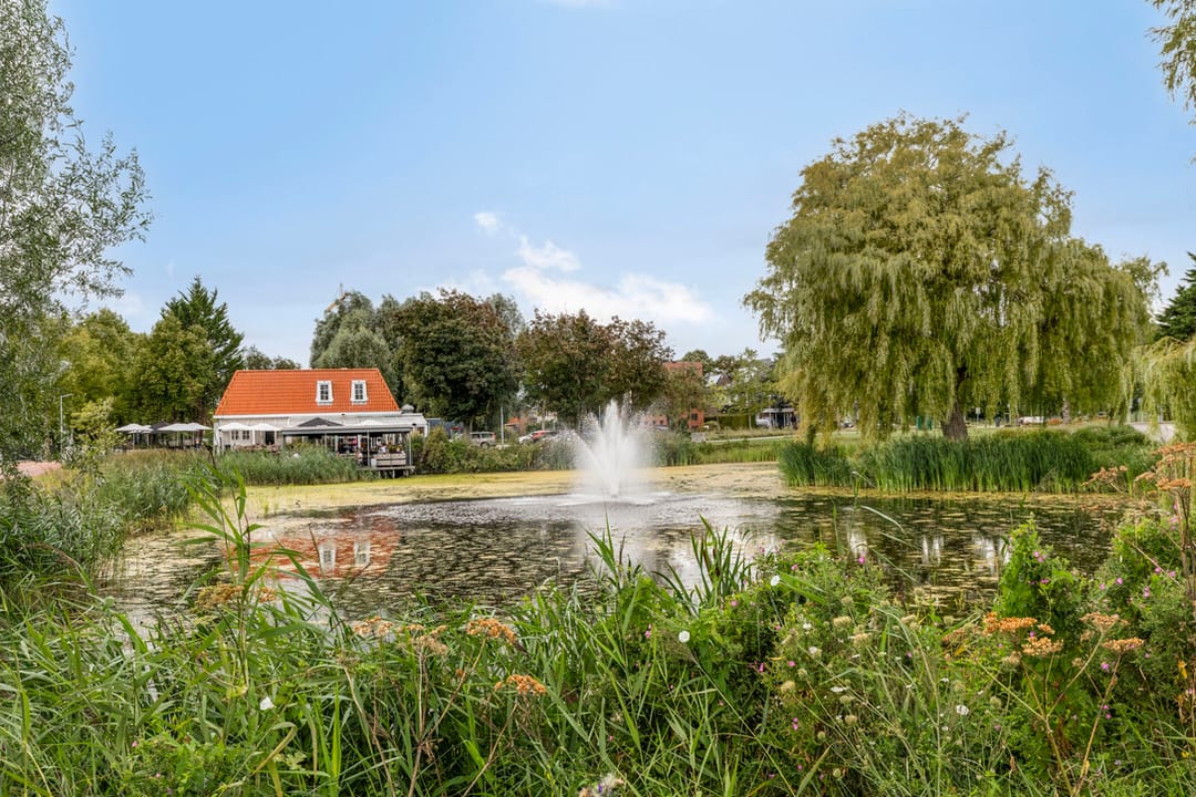 Foto 31 van Mies van der Rohestraat 105