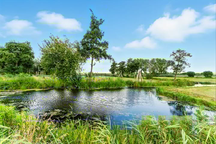 Foto 2 van Wolfspoot 24