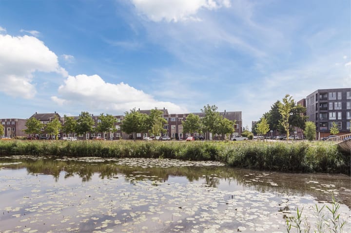 Foto 42 van Biesheuvelstraat 41