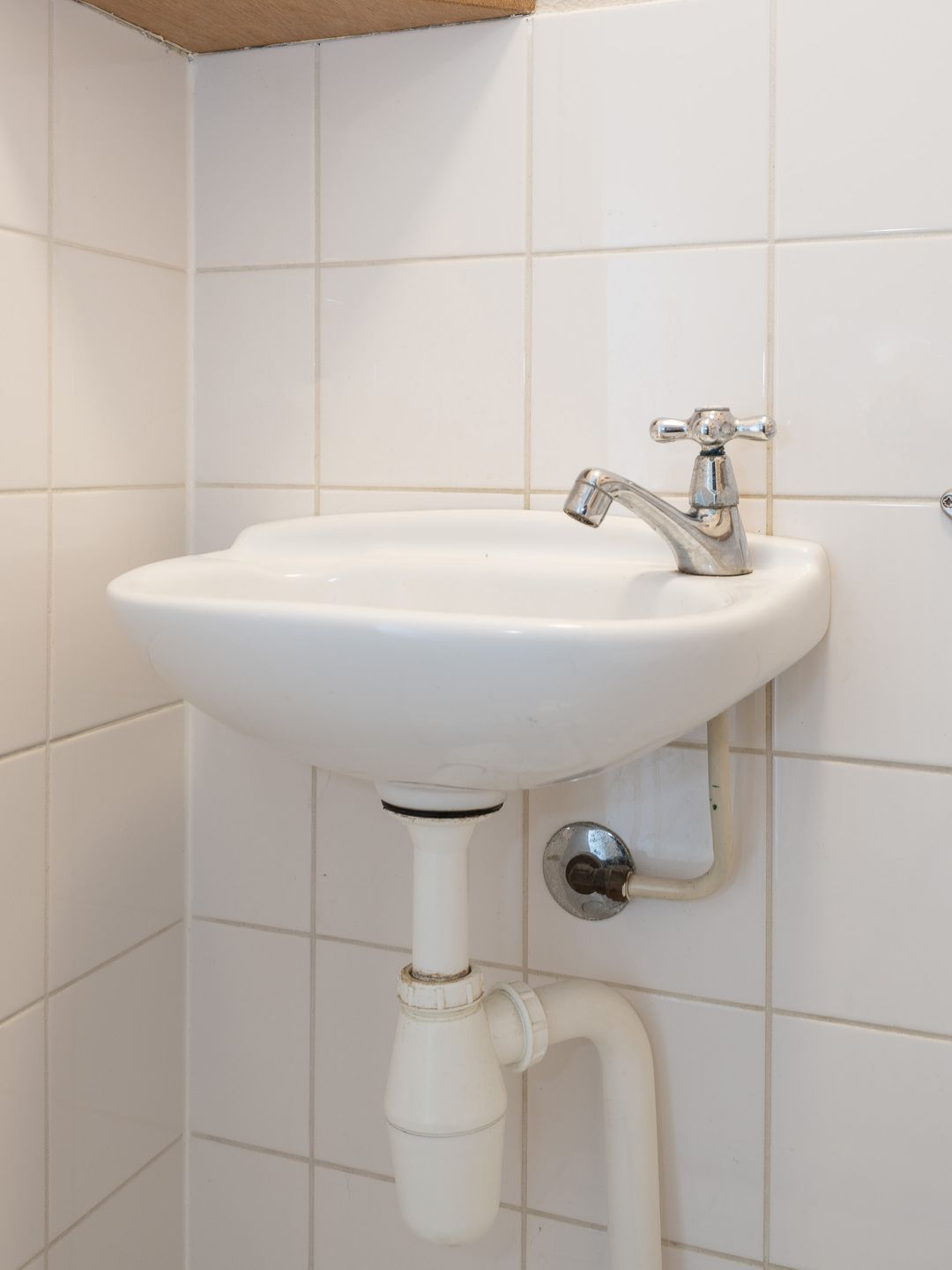 Foto 17 van Bijenveld 4