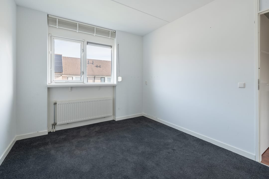 Foto 22 van Bijenveld 4