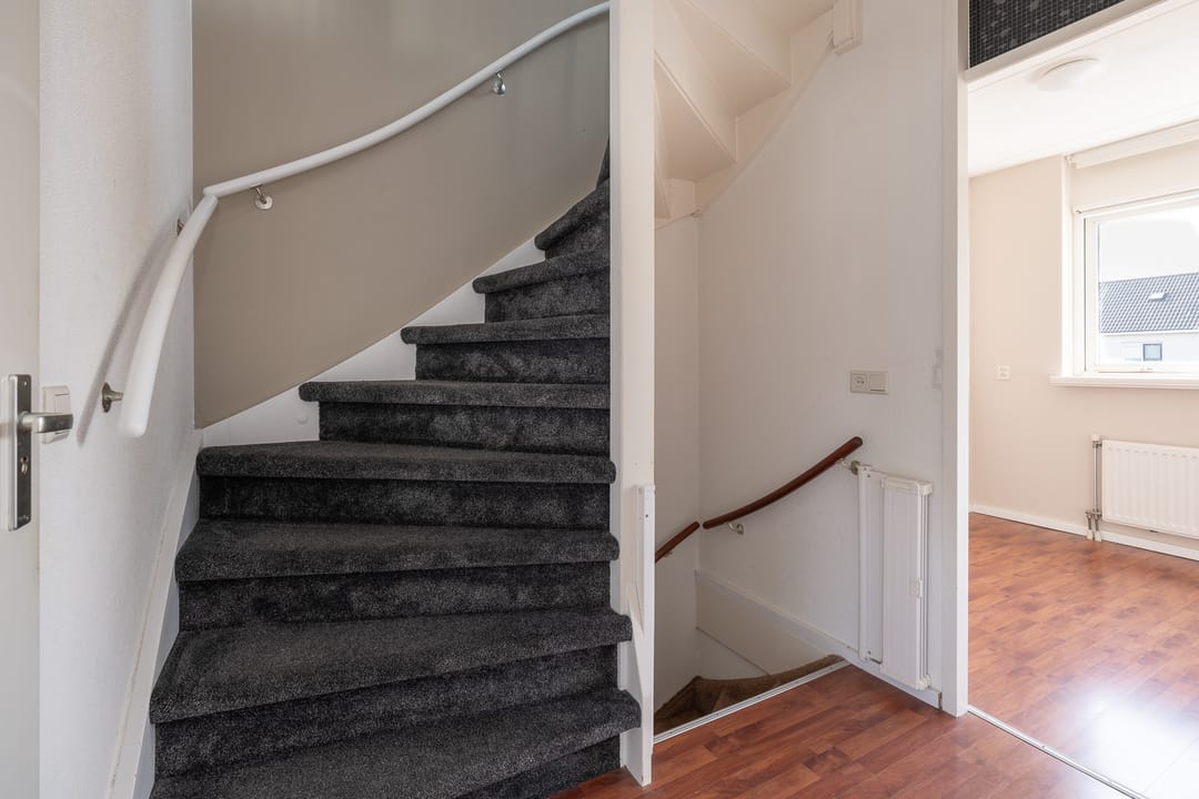 Foto 28 van Bijenveld 4