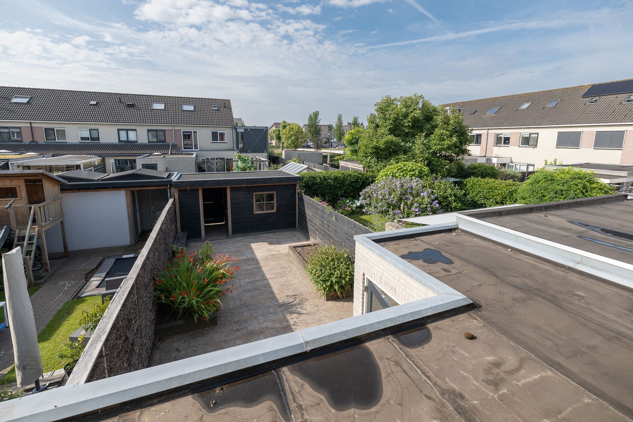 Foto 33 van Bijenveld 4