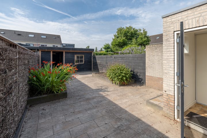 Foto 34 van Bijenveld 4