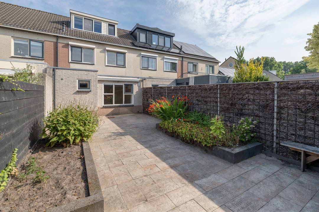 Foto 41 van Bijenveld 4