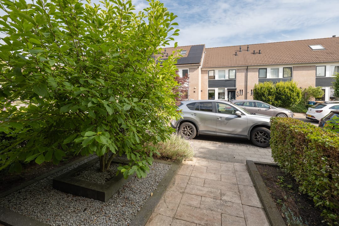 Foto 43 van Bijenveld 4