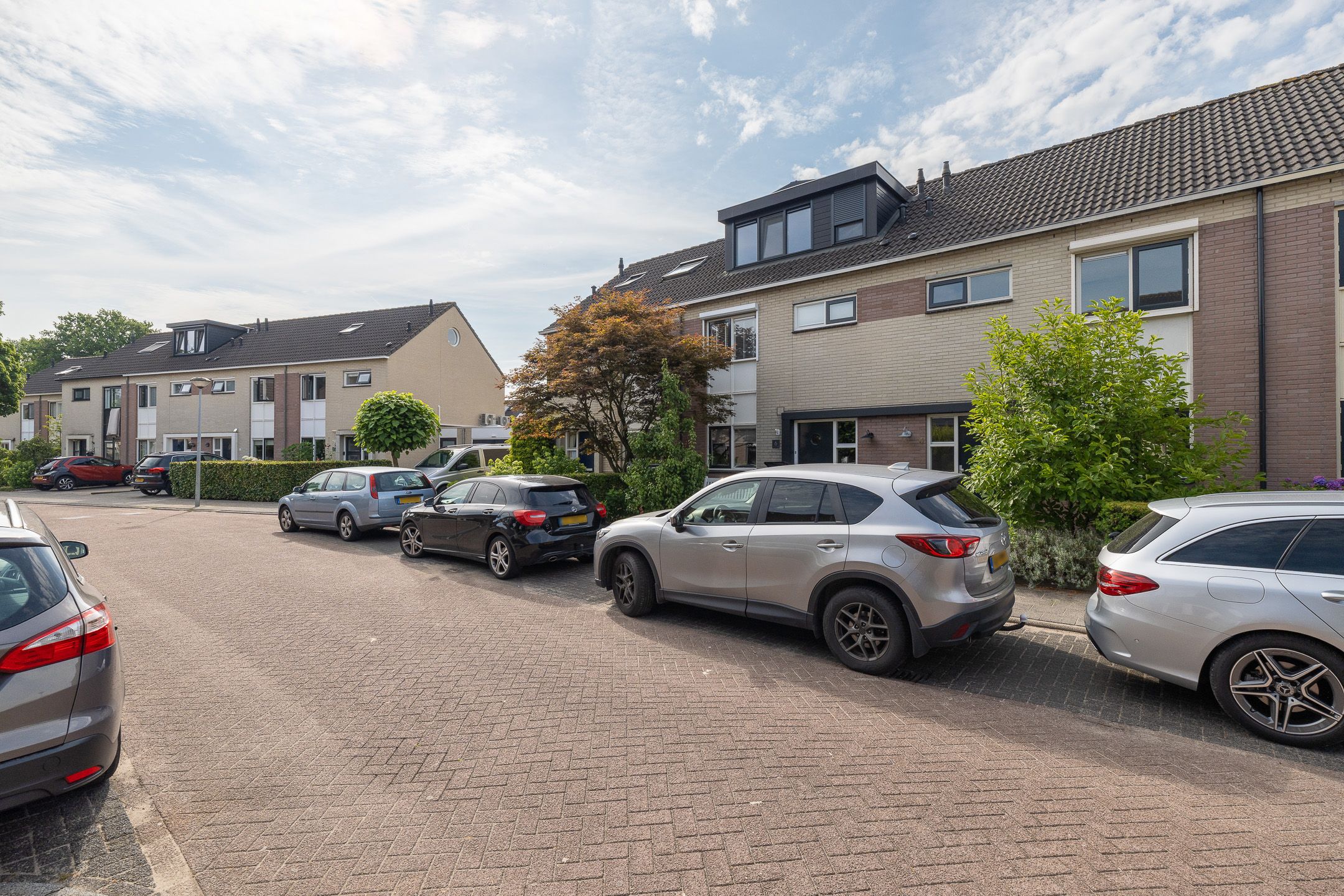 Foto 45 van Bijenveld 4