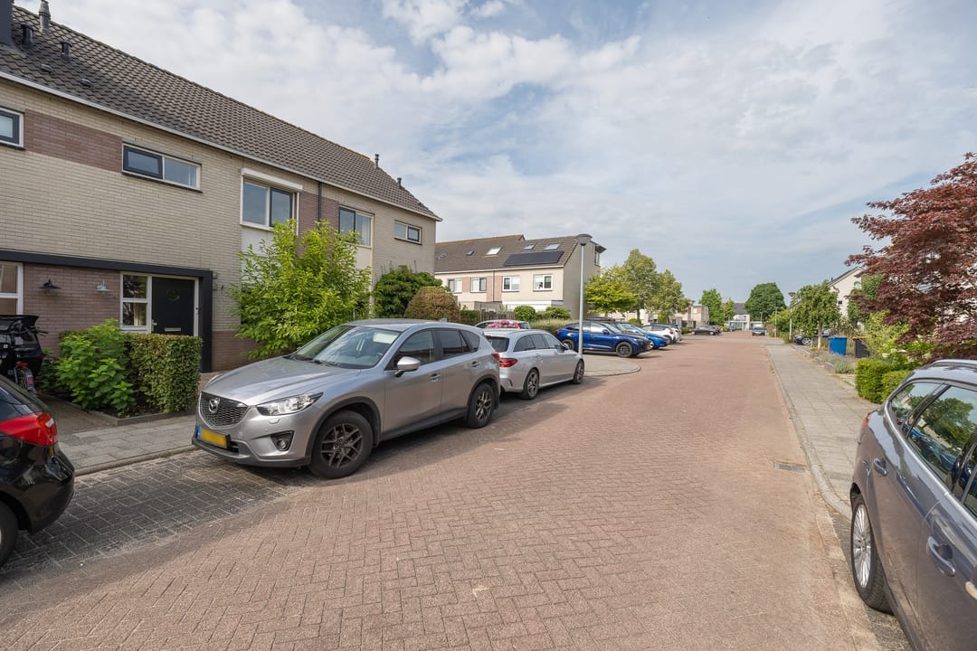 Foto 46 van Bijenveld 4