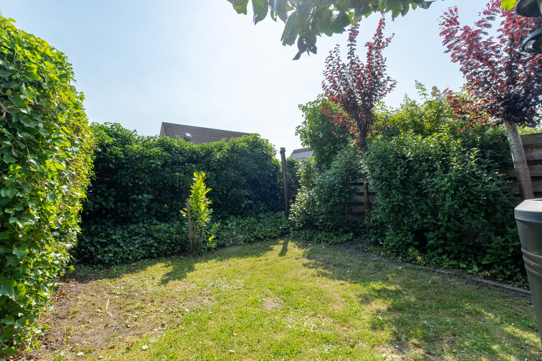 Foto 48 van de Aren 12