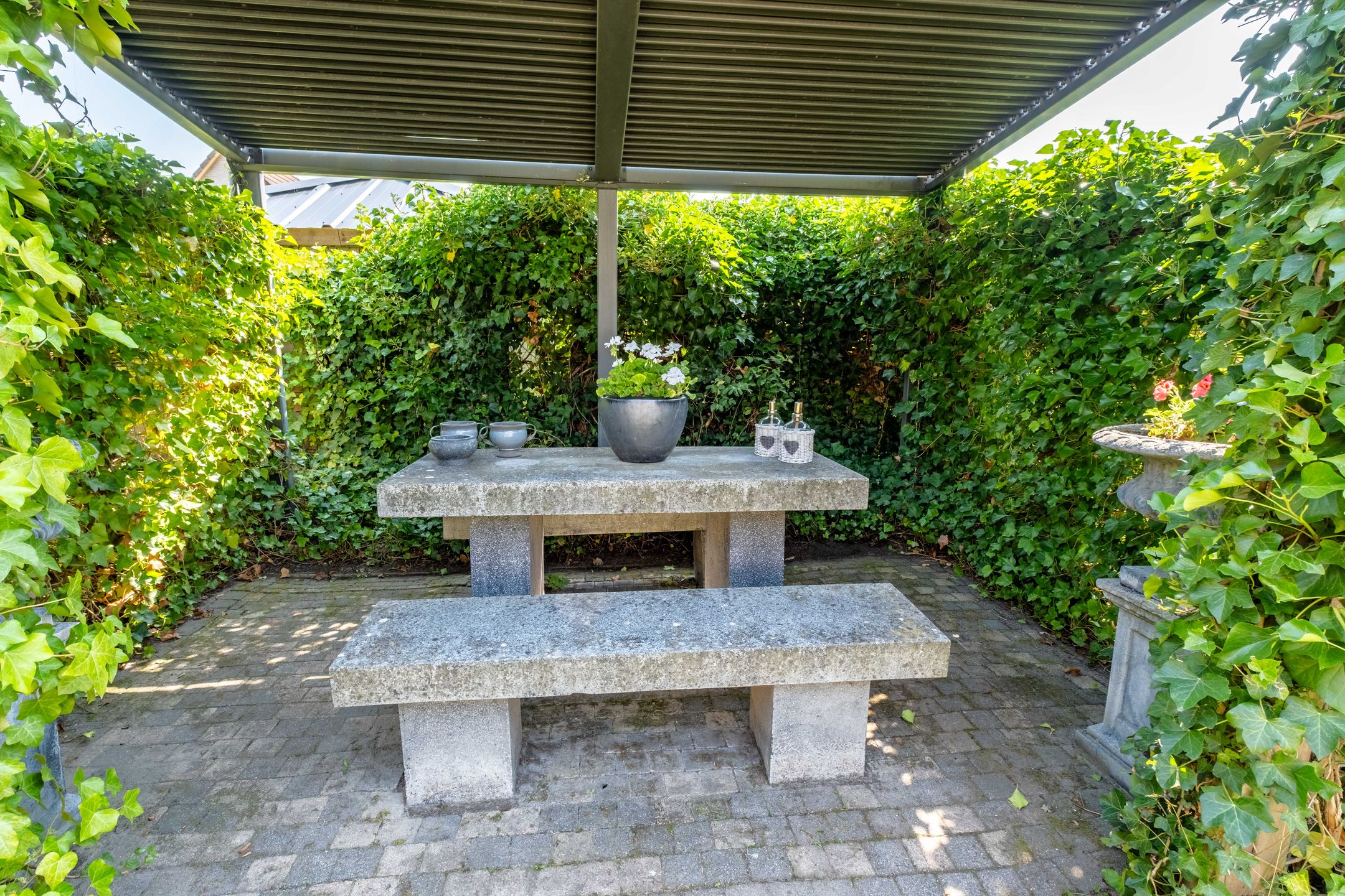 Foto 51 van de Aren 12