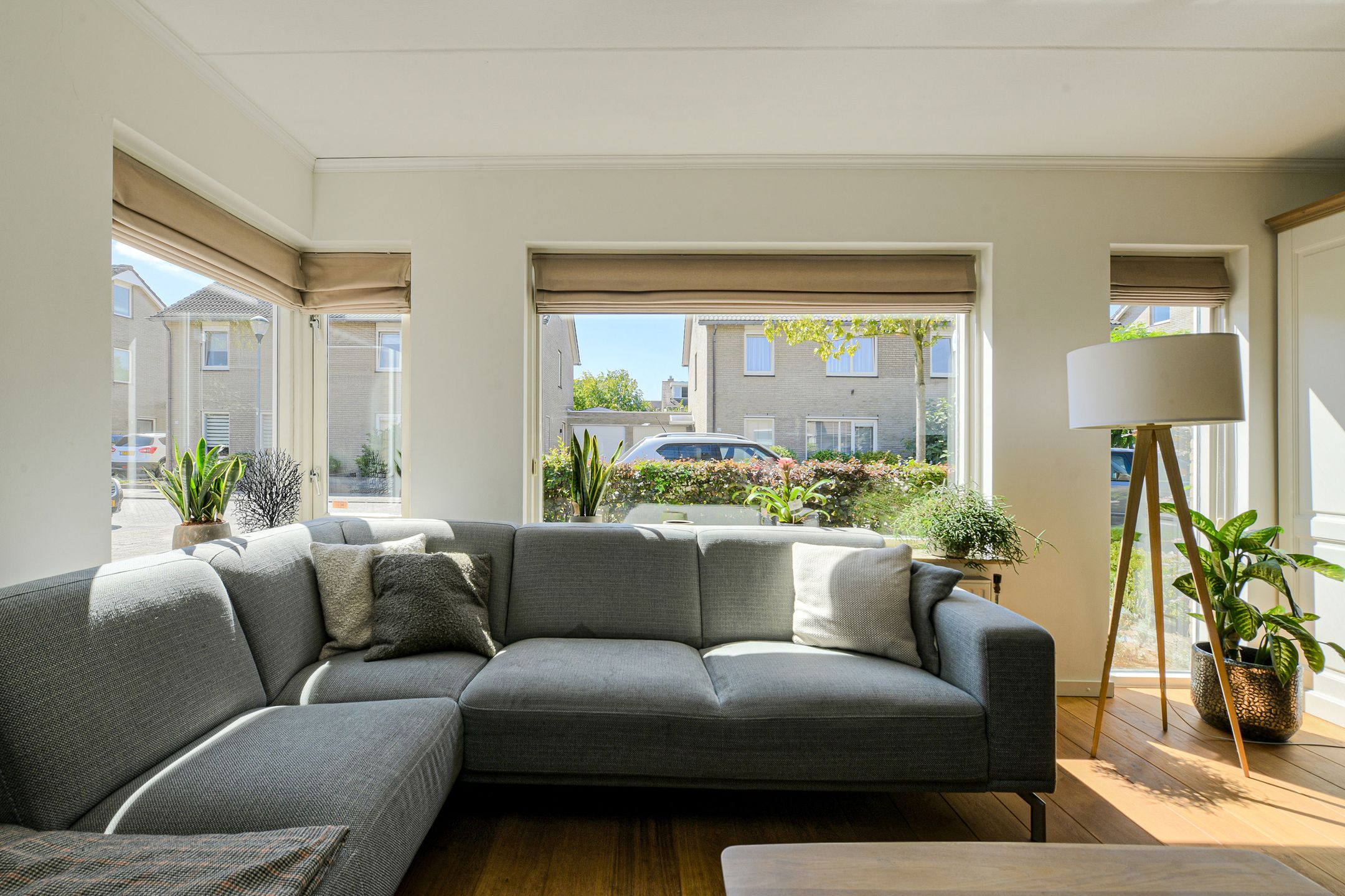 Foto 9 van Koolmees 49