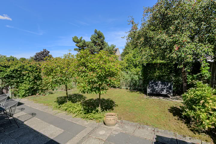 Photo 42 of Koolmees 49