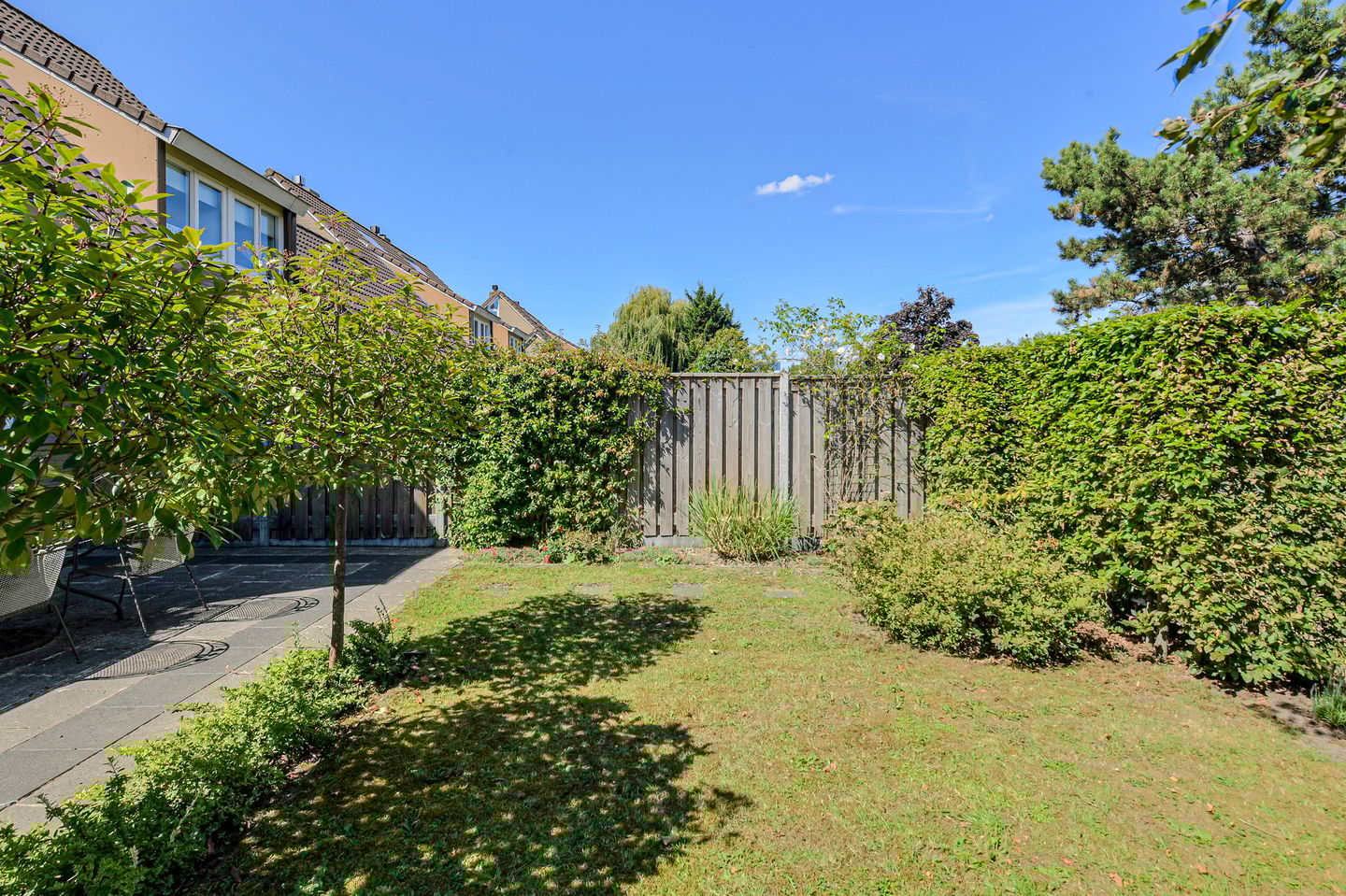 Foto 44 van Koolmees 49