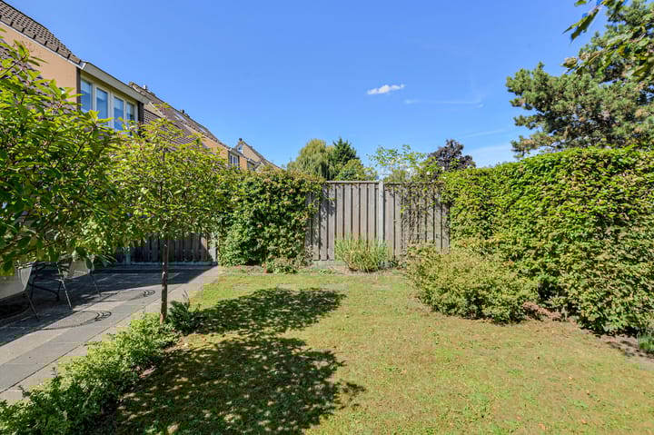 Photo 44 of Koolmees 49