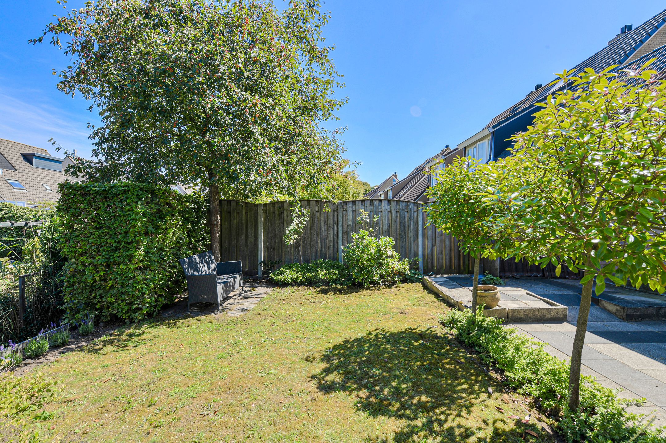 Foto 45 van Koolmees 49