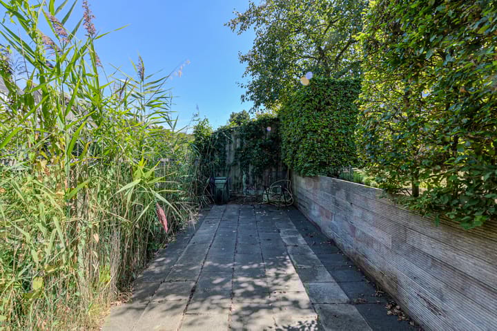 Photo 47 of Koolmees 49