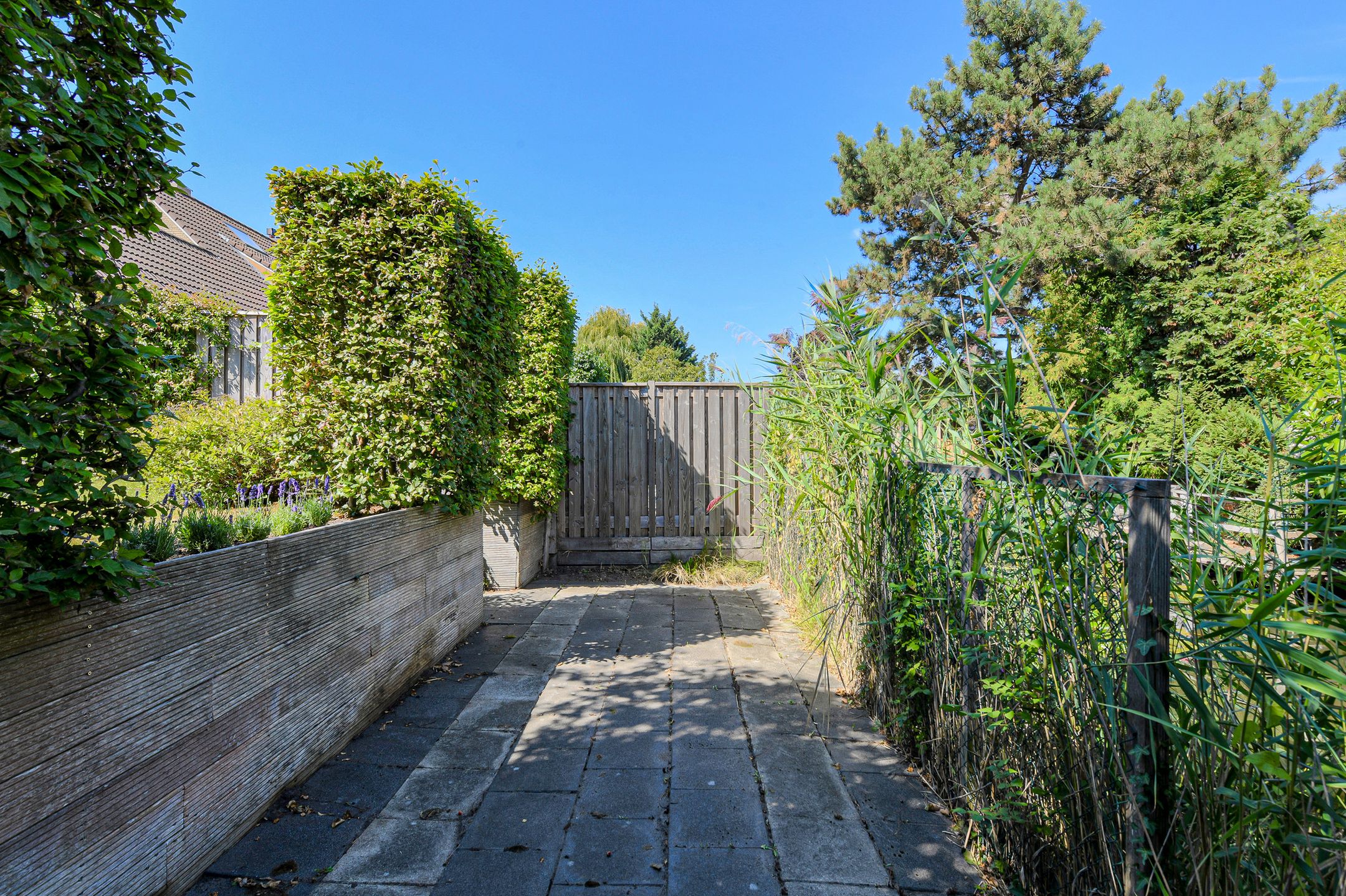 Foto 48 van Koolmees 49