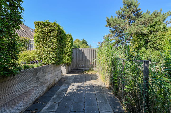 Photo 48 of Koolmees 49