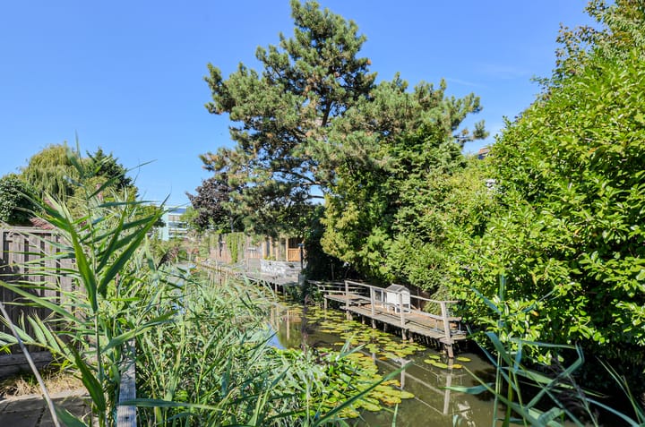 Photo 49 of Koolmees 49