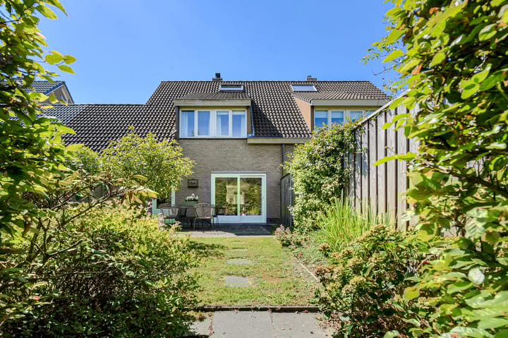 Photo 50 of Koolmees 49