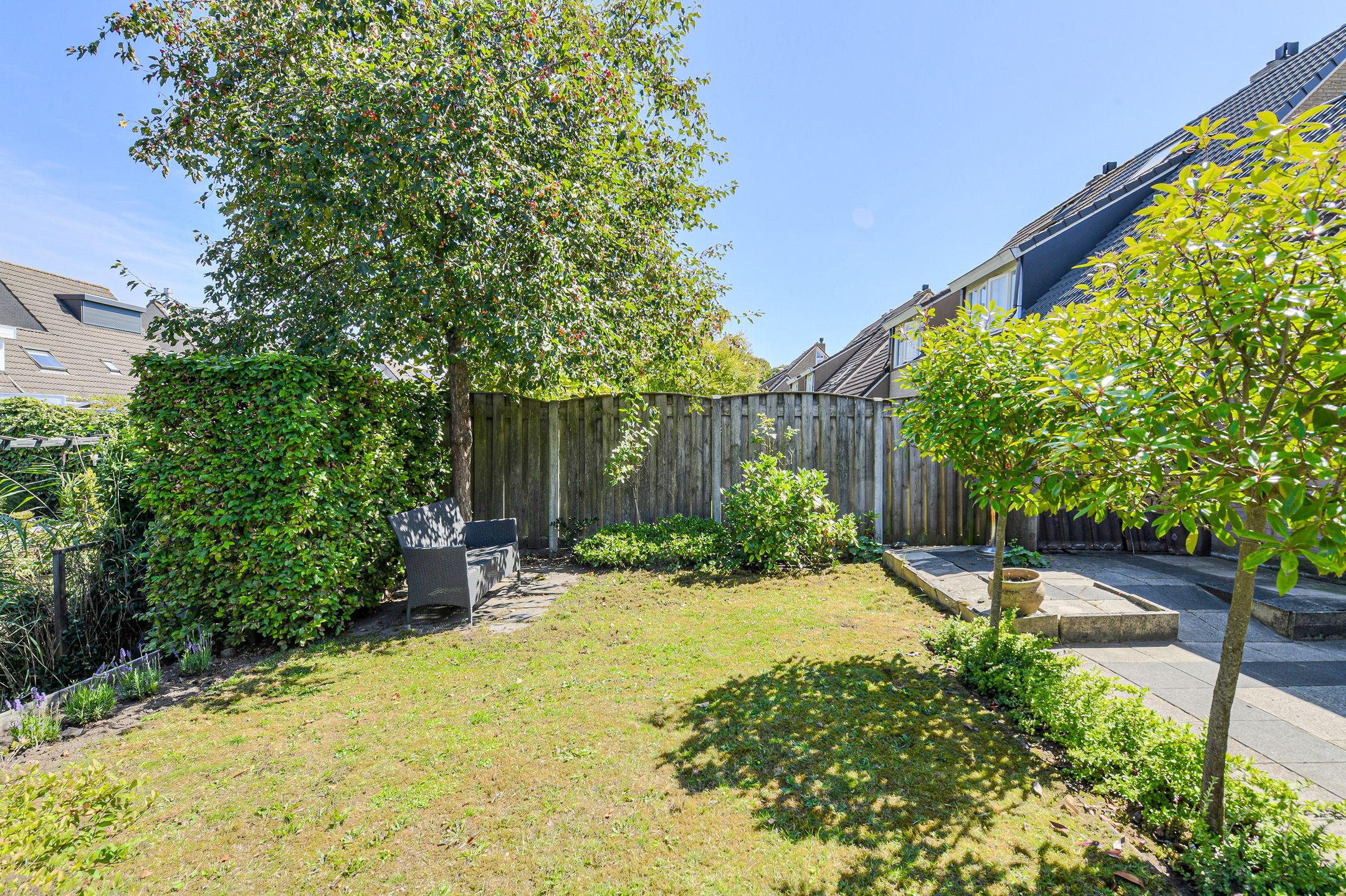 Foto 51 van Koolmees 49