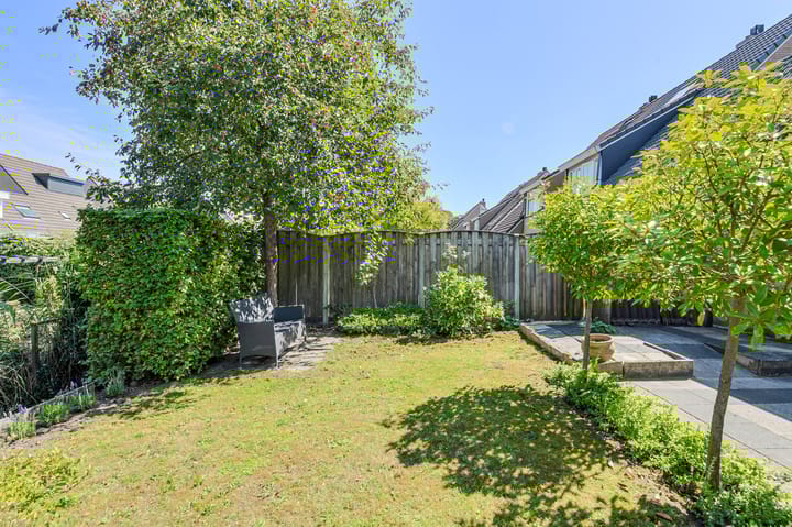 Photo 51 of Koolmees 49