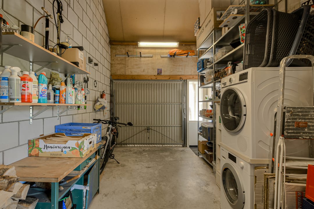 Foto 52 van Koolmees 49