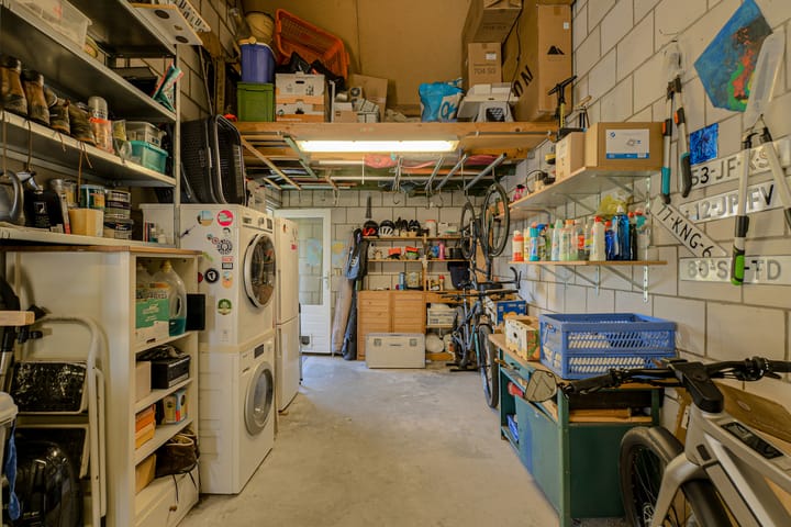 Photo 53 of Koolmees 49