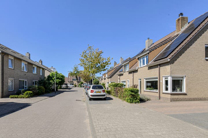 Photo 54 of Koolmees 49