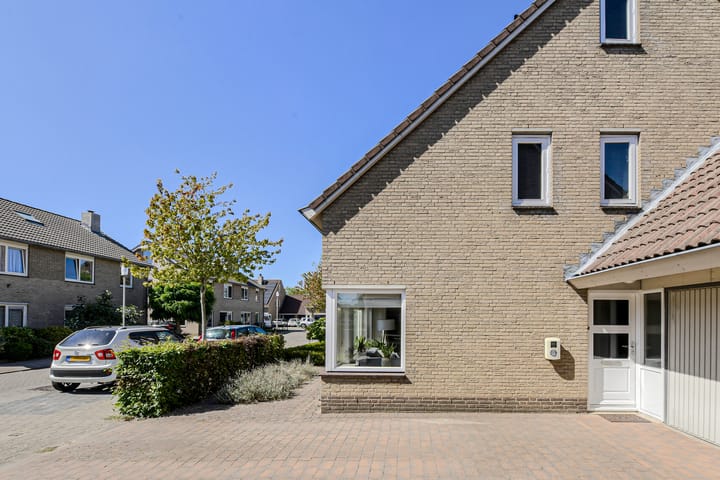 Photo 55 of Koolmees 49