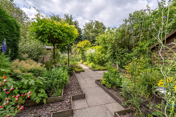 Foto 33 van Frans Halsstraat 53