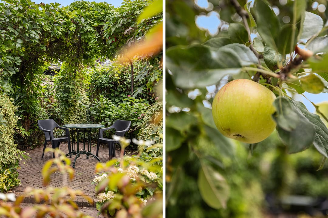 Foto 11 van Suite 35