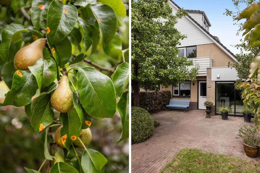 Foto 13 van Suite 35