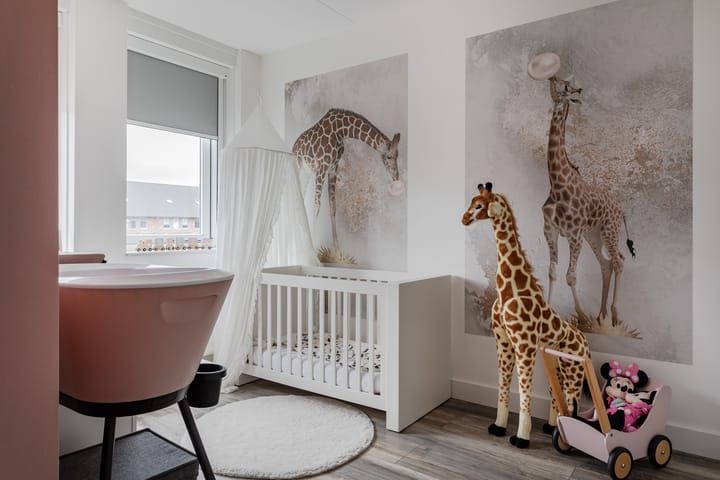 Foto 13 van A. Commandeurlaan 41