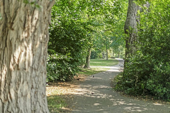 Foto 47 van Frederik Hendriklaan 86