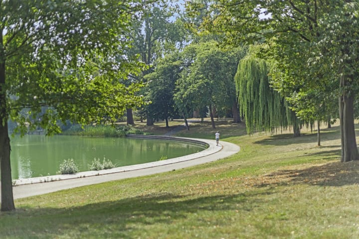 Foto 46 van Frederik Hendriklaan 86