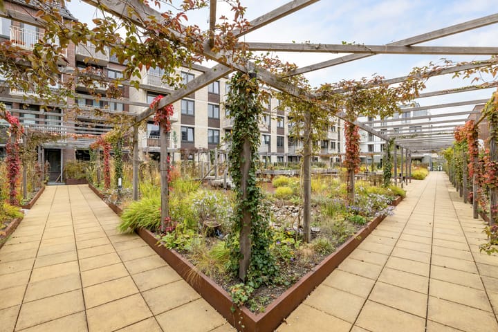 Foto 33 van Zijdebalenstraat 23