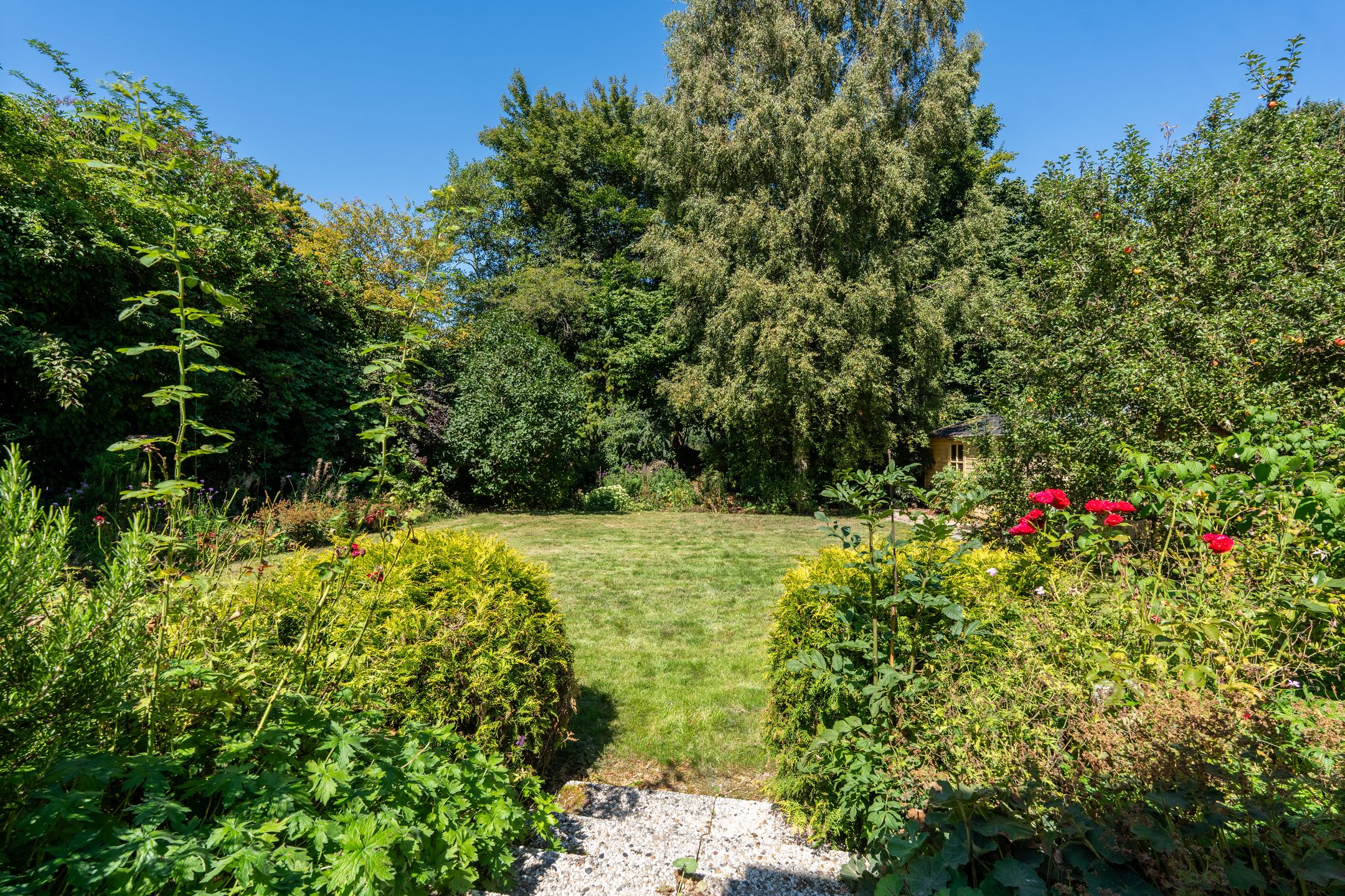 Foto 36 van Rietganslaan 18