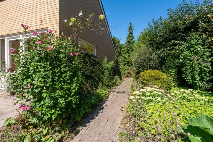 Photo 39 of Rietganslaan 18