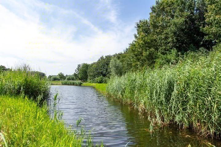 Photo 43 of Rietganslaan 18