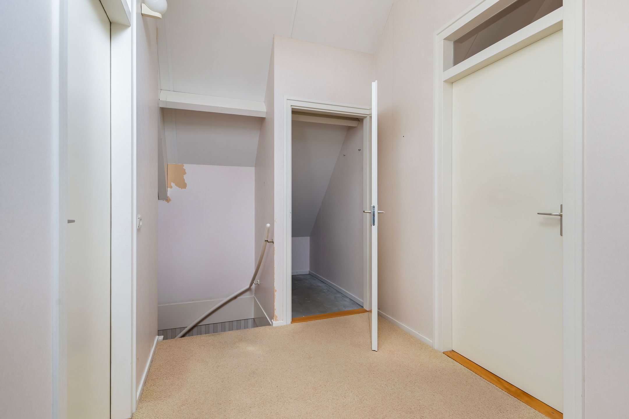 Foto 24 van Reidklyster 40